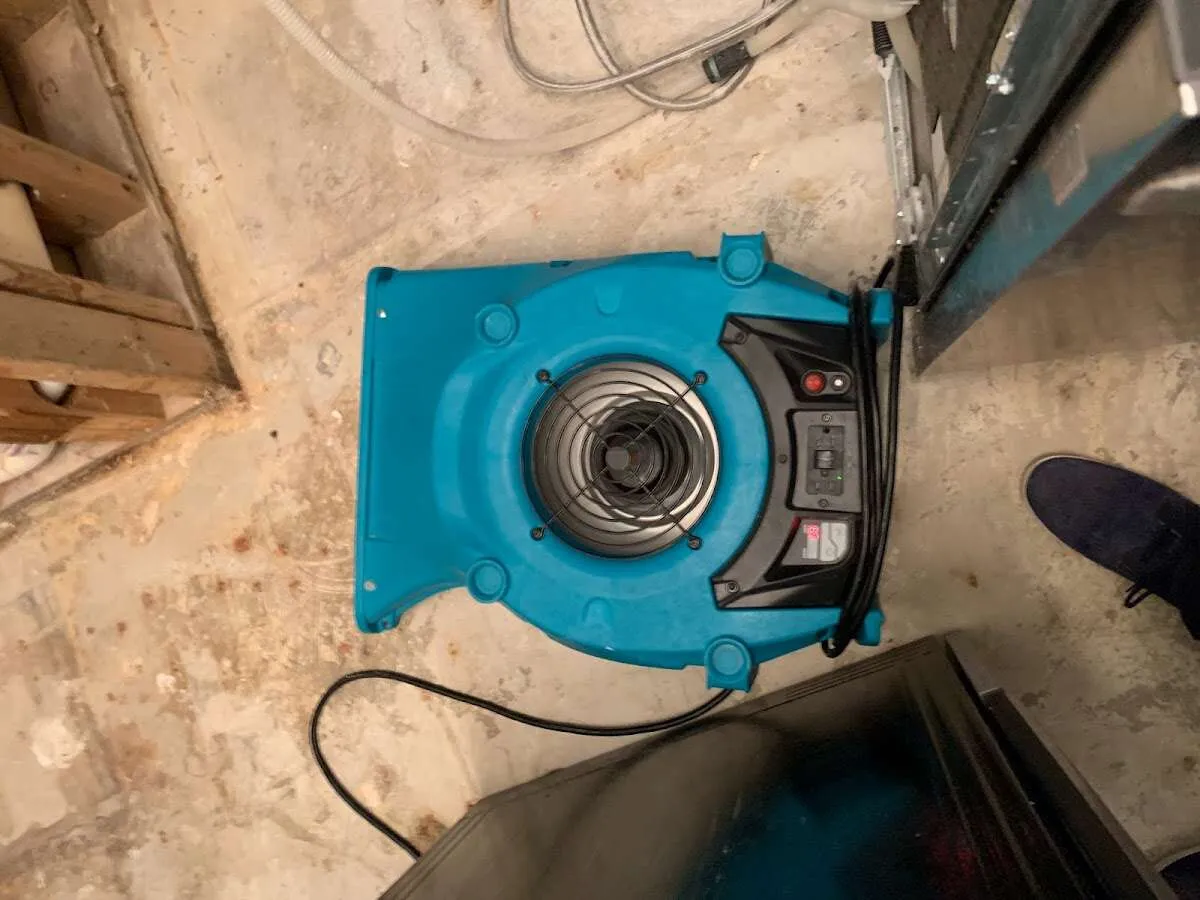 Air mover drying equipment for Mold Remediation & Removal in Hockessin